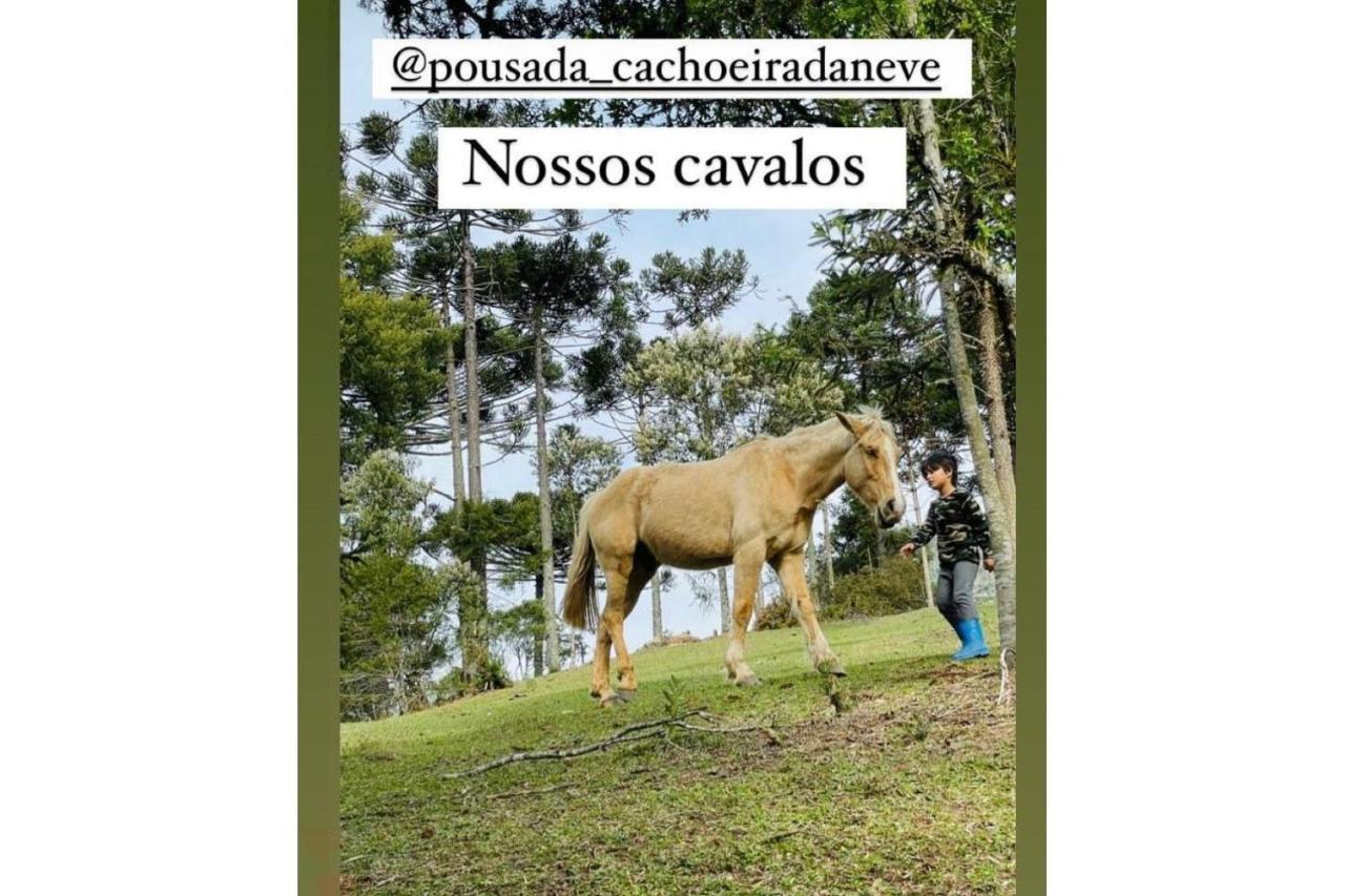 Floresta Secreta- Pousada Cachoeira Da Neve Urubici Esterno foto