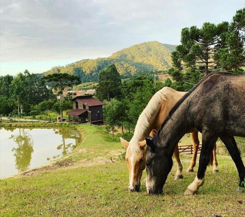Floresta Secreta- Pousada Cachoeira Da Neve Urubici Esterno foto