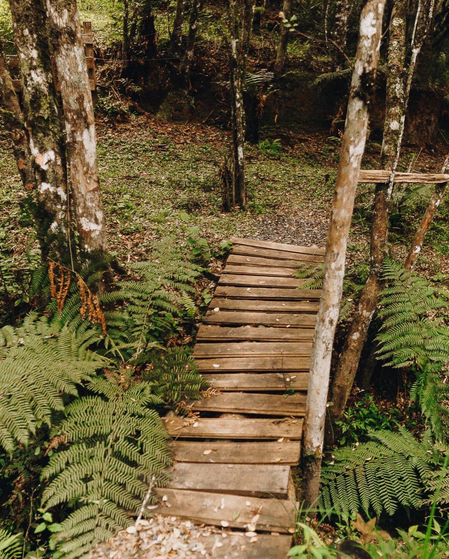 Floresta Secreta- Pousada Cachoeira Da Neve Urubici Esterno foto